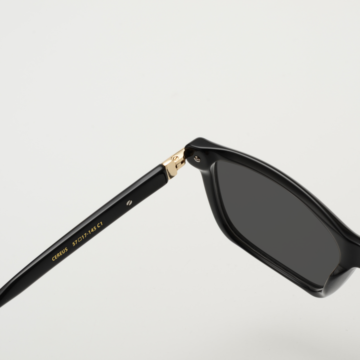 Cereus: Lunettes de soleil de luxe Noir