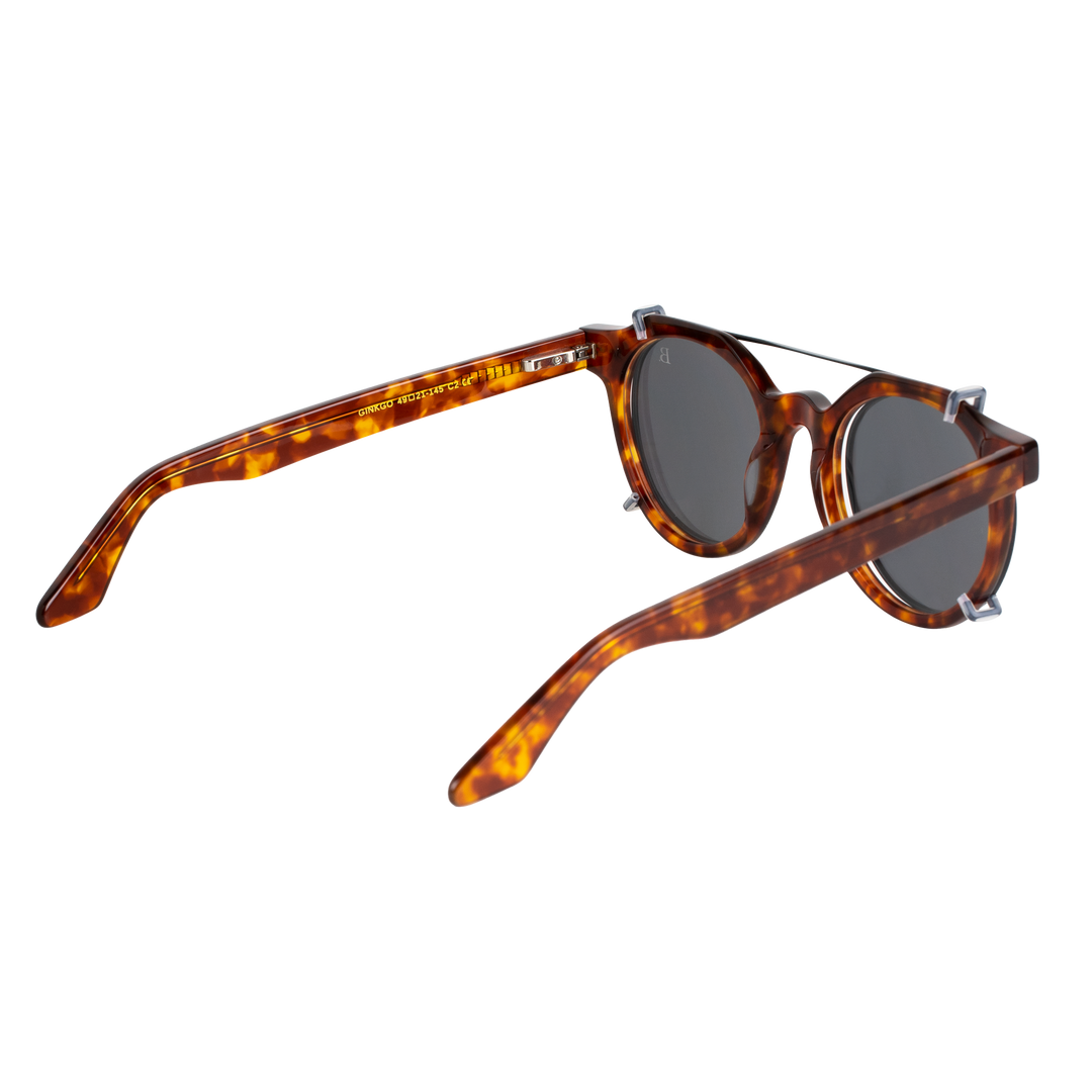 Ginkgo: Lunettes à clips de luxe Marron tortoise