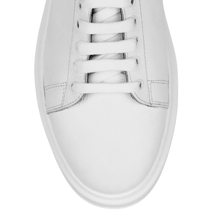 Palmer: Sneakers Homme - Cuir Blanc R'